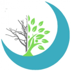 Логотип компании Интисар